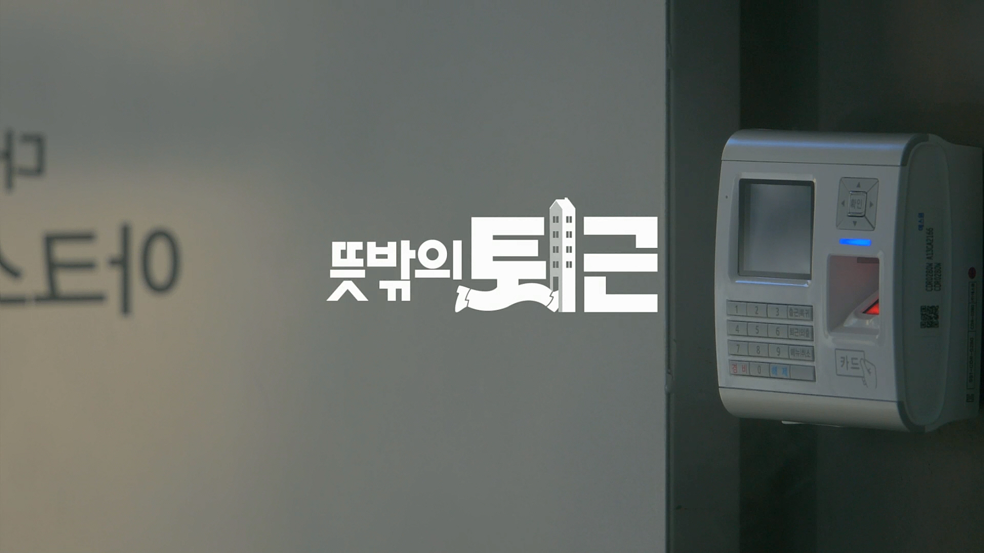 애드쿠아 인터렉티브 광고 이미지